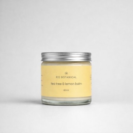 504 x 60ml Clear Glass Ointment Jar