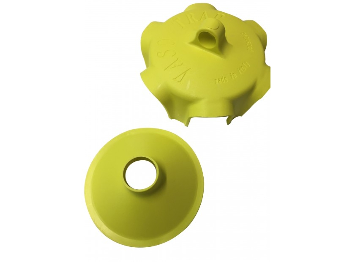 Wasp Traps and the Asian Hornet