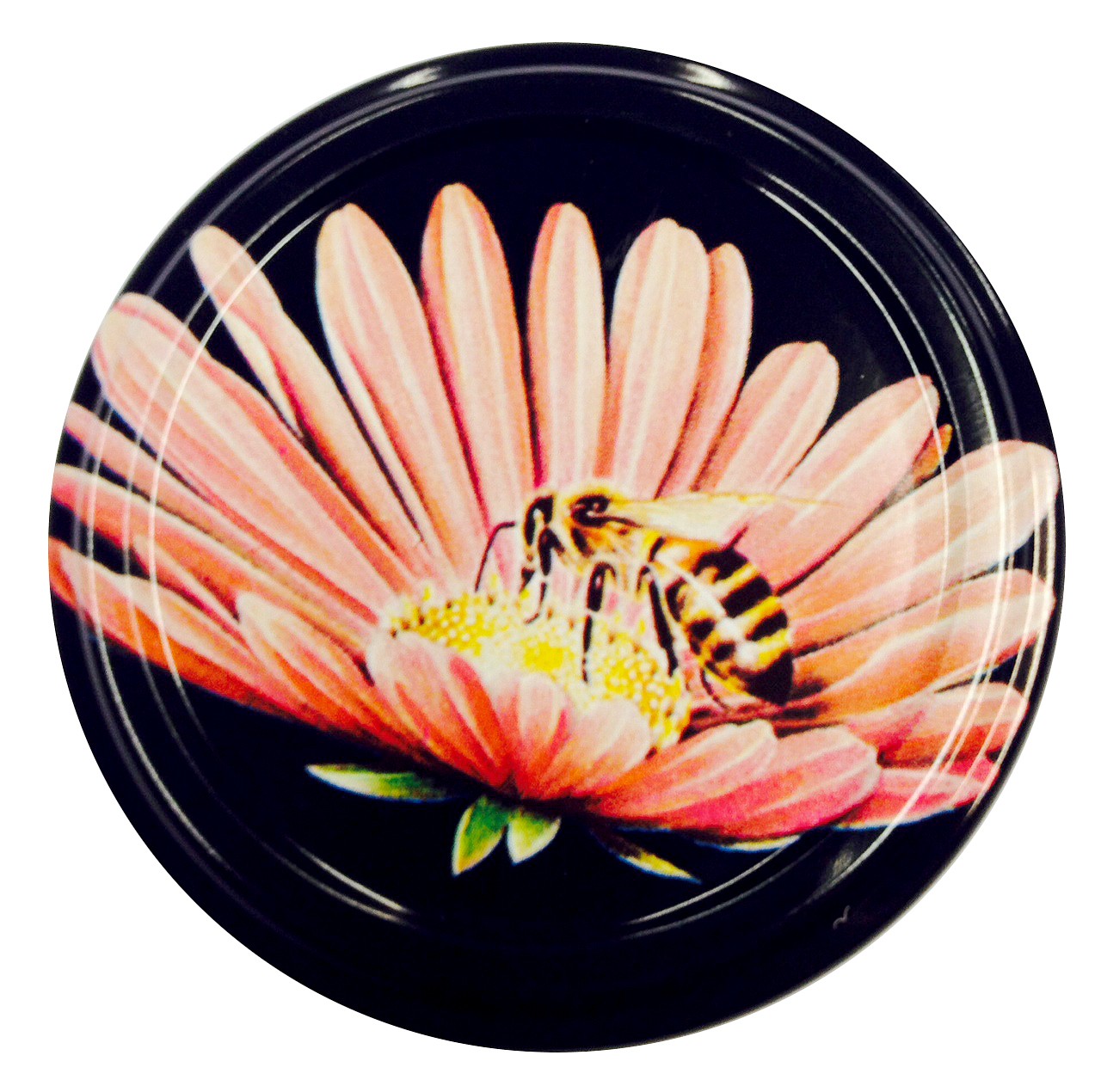SPECIAL SHOW OFFER 190ml Round Panel Jar - Pack of 35