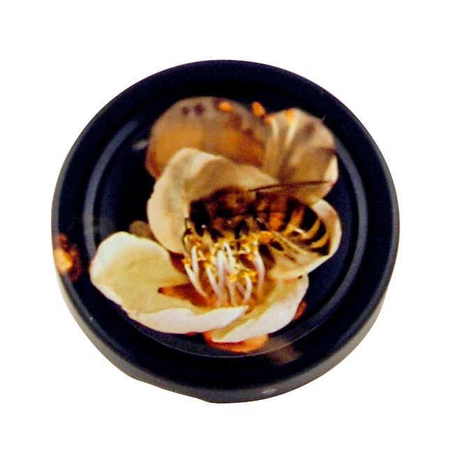 SPECIAL SHOW OFFER 190ml Round Panel Jar - Pack of 35