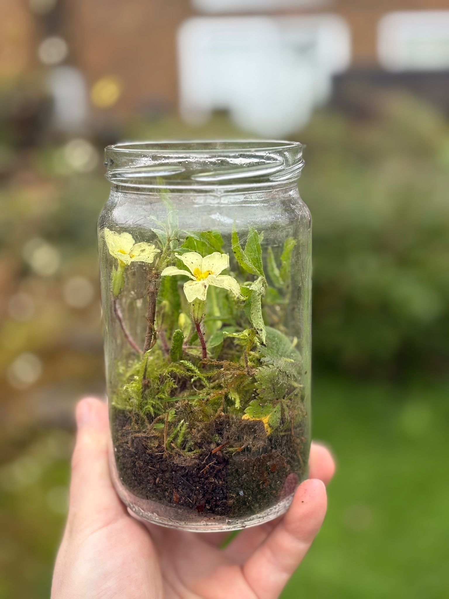 36 x 720ml Pickle Jar
