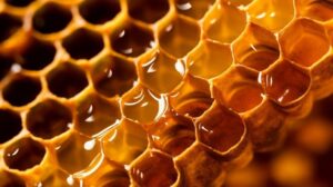 Honey in honeycomb